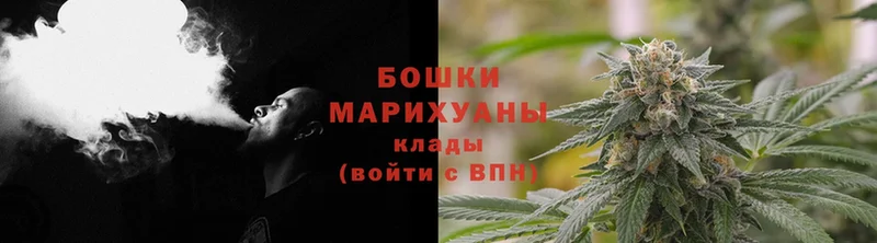 Бошки марихуана OG Kush  дарнет шоп  Звенигород 